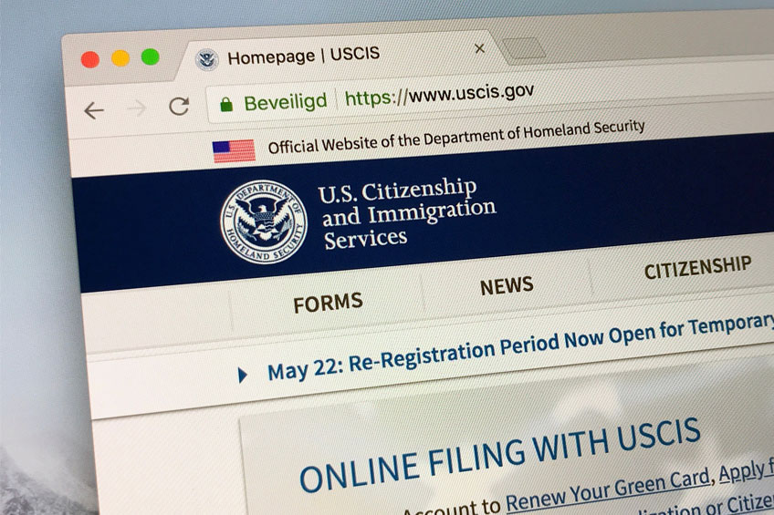 Uscis case status