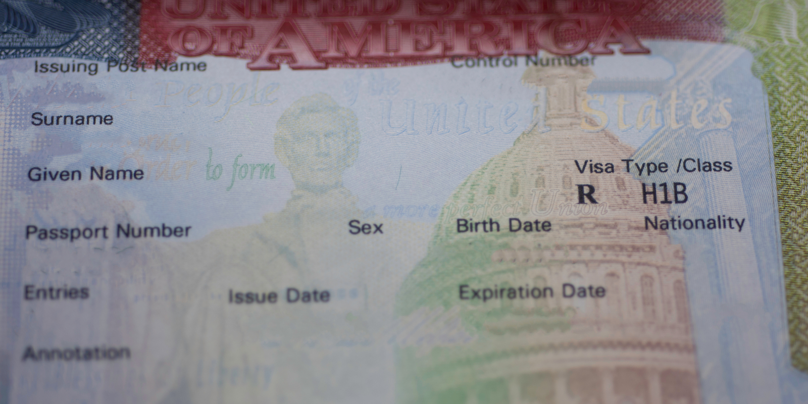 B visa. H1b виза в США. Виза b1 b2 США что это. Визы США категории h1b. Visa b1 b2 в США Budapest.